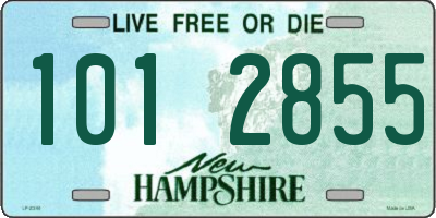 NH license plate 1012855