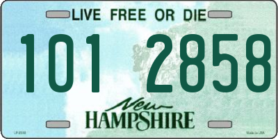 NH license plate 1012858
