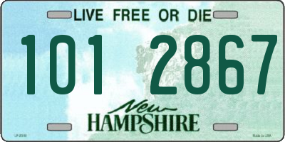 NH license plate 1012867