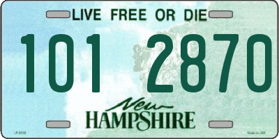 NH license plate 1012870