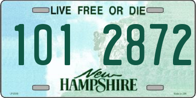 NH license plate 1012872