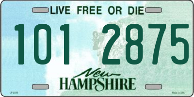 NH license plate 1012875