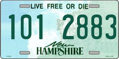 NH license plate 1012883