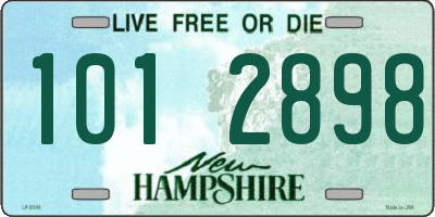 NH license plate 1012898