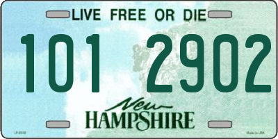 NH license plate 1012902