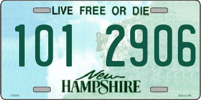 NH license plate 1012906