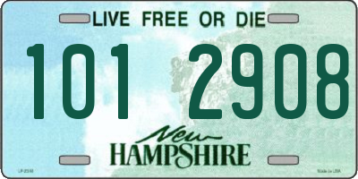 NH license plate 1012908