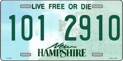 NH license plate 1012910