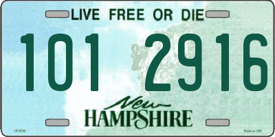 NH license plate 1012916