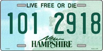 NH license plate 1012918