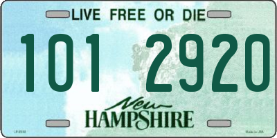 NH license plate 1012920