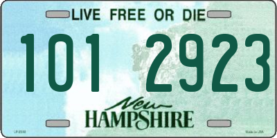 NH license plate 1012923