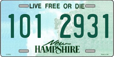 NH license plate 1012931