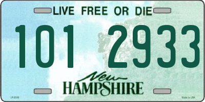 NH license plate 1012933