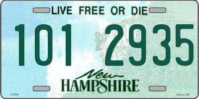 NH license plate 1012935