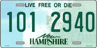 NH license plate 1012940