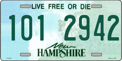 NH license plate 1012942