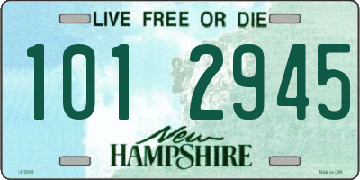 NH license plate 1012945