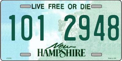 NH license plate 1012948