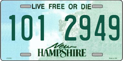 NH license plate 1012949