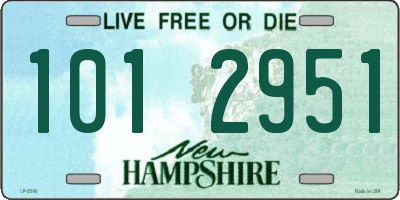 NH license plate 1012951