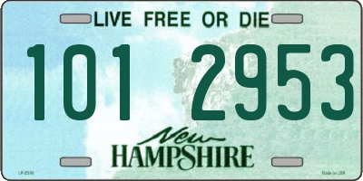 NH license plate 1012953