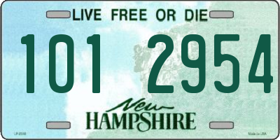 NH license plate 1012954