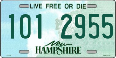 NH license plate 1012955