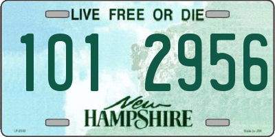 NH license plate 1012956