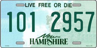 NH license plate 1012957