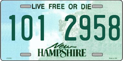 NH license plate 1012958