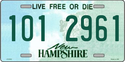 NH license plate 1012961