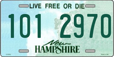 NH license plate 1012970