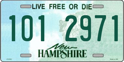 NH license plate 1012971