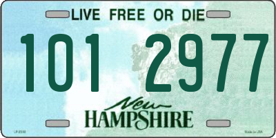 NH license plate 1012977