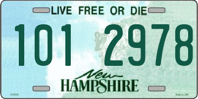 NH license plate 1012978