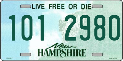 NH license plate 1012980