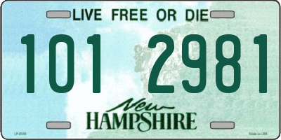 NH license plate 1012981