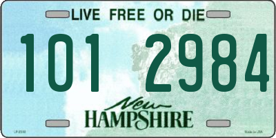 NH license plate 1012984