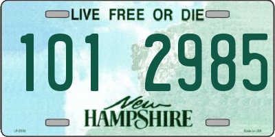 NH license plate 1012985