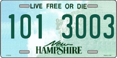 NH license plate 1013003