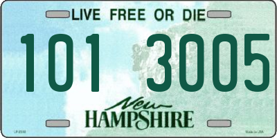 NH license plate 1013005