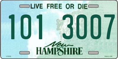 NH license plate 1013007