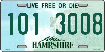 NH license plate 1013008