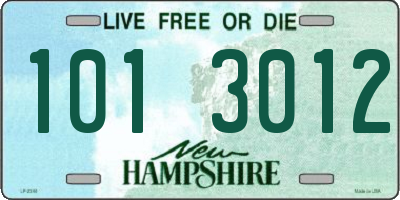 NH license plate 1013012