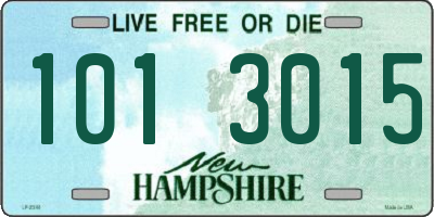 NH license plate 1013015