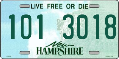 NH license plate 1013018