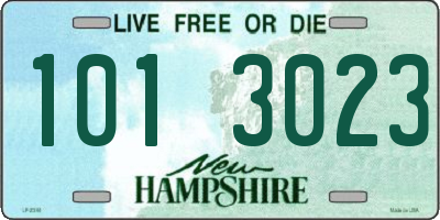 NH license plate 1013023