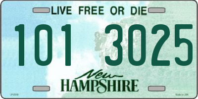 NH license plate 1013025