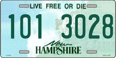 NH license plate 1013028